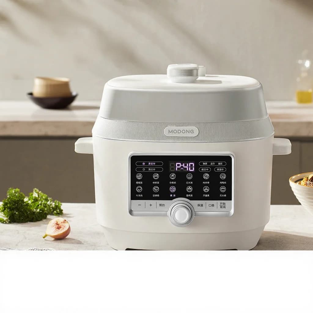 Электрическая скороварка 5L с двумя внутренними чашами